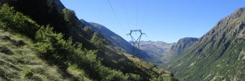 IMG_3324.JPG