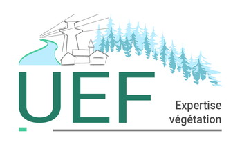 UEF Expertise